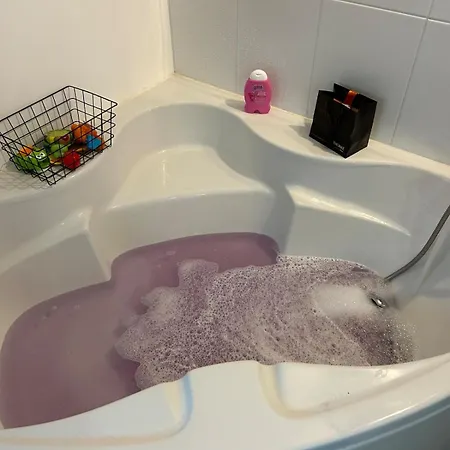 Large House With Pool, And Park * Effiat